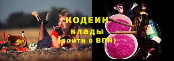 индика Богданович