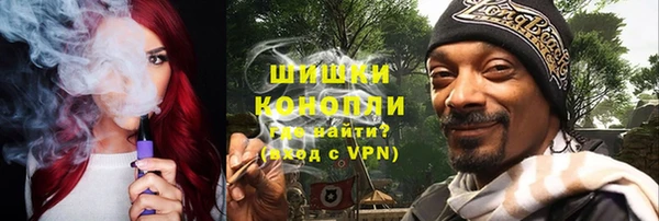 сатива Богородицк