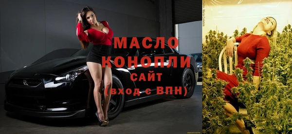 индика Богданович